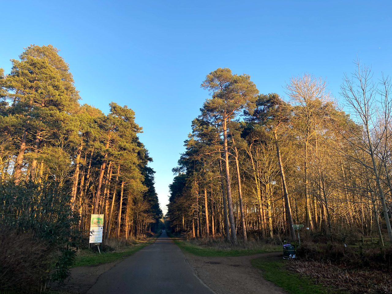 Harlestone Firs Forest Walk