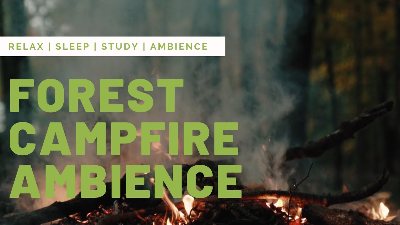 Forest Campfire Ambience Sounds - Relax | Study | Sleep | Background Noise